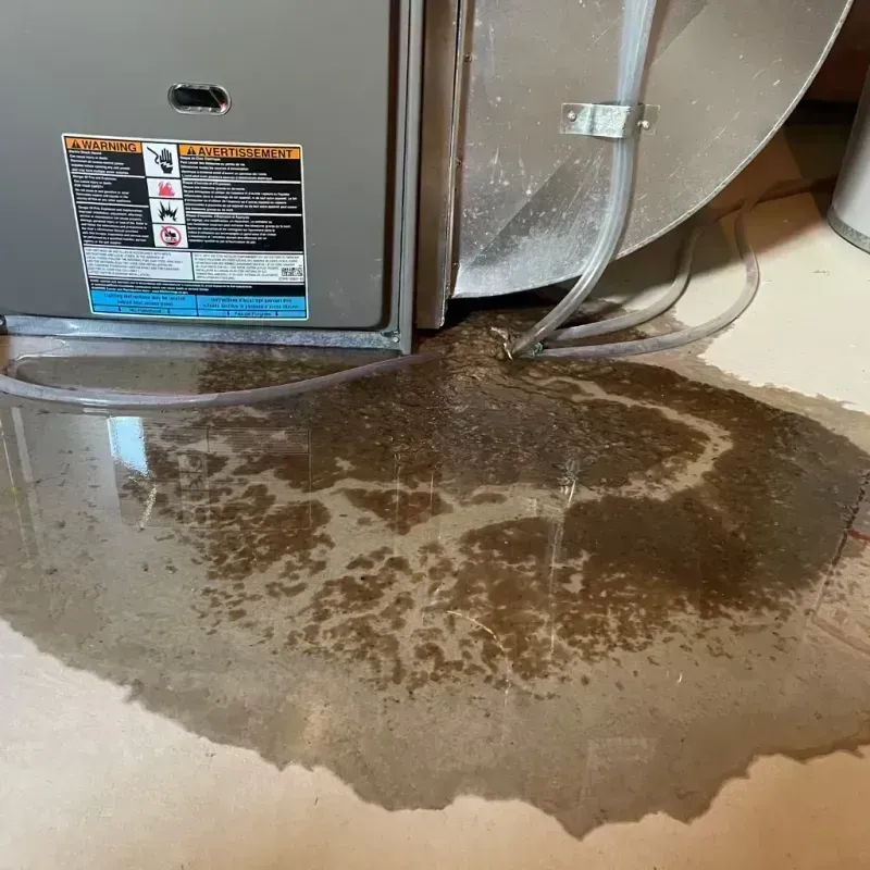 Appliance Leak Cleanup in Vanceburg, KY